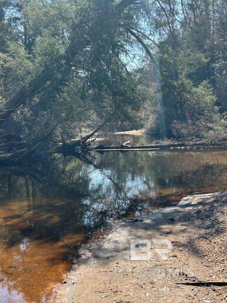 0 Wolf Log Road - Photo 1