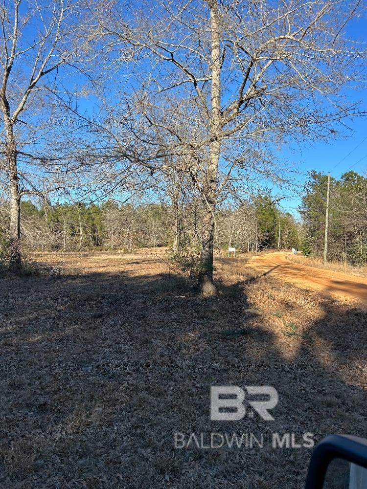 0 Buddy Lake Road - Photo 1