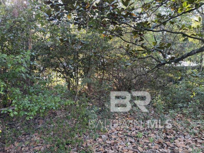0 Batre Lane - Photo 1