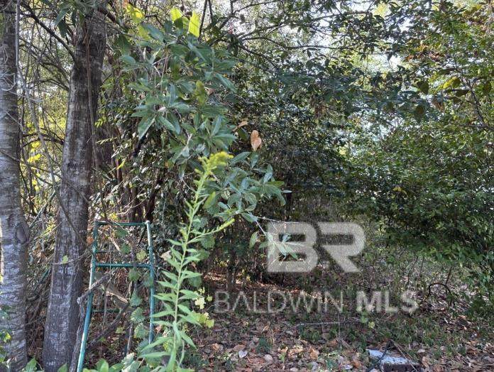 https://bt-photos.global.ssl.fastly.net/baldwin/orig_boomver_1_394699-2.jpg