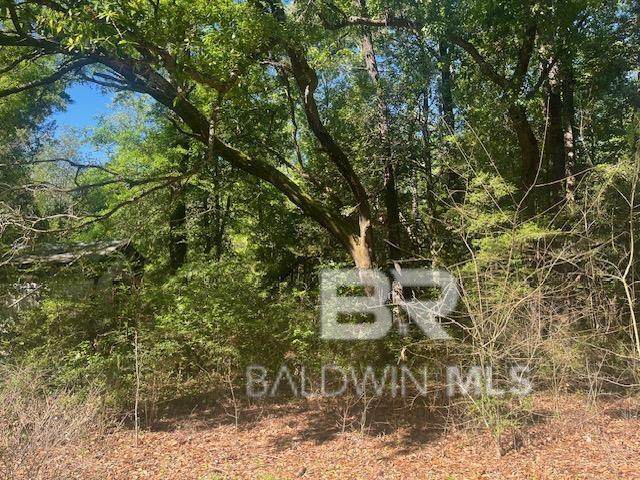 42507 Amelia Road - Photo 1