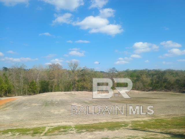 218 Gumball Lane - Photo 1