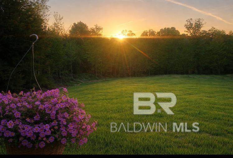 https://bt-photos.global.ssl.fastly.net/baldwin/orig_boomver_1_395208-2.jpg