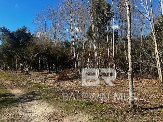 0 Bellingrath Road - Photo 1