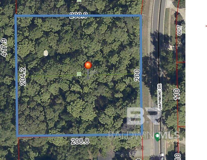 707 Daphmont Drive - Photo 1