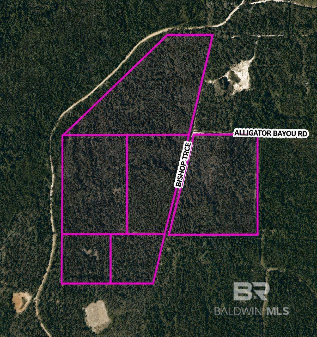 0 Bishop Trace - Photo 1