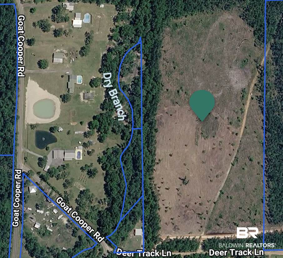25615 Deer Track - Photo 1
