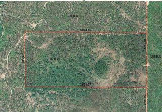 25001 Brady Mill Dam Road - Photo 1