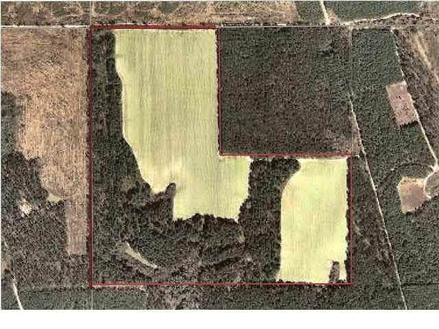 0 Three Mile Road - Photo 1