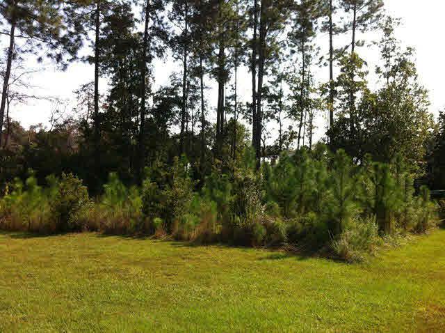 0 Bridgeport Drive - Photo 1
