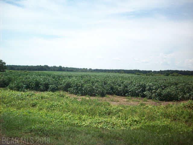 6000 Nokomis Road - Photo 1