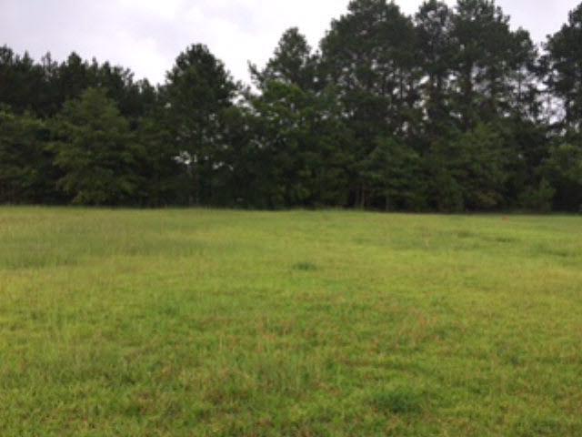 0 Eagles Lane - Photo 1