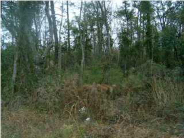 4451 Dauphin Island Pkwy - Photo 1