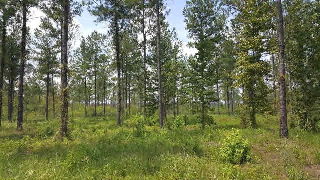 0 Highway 45 - Photo 1