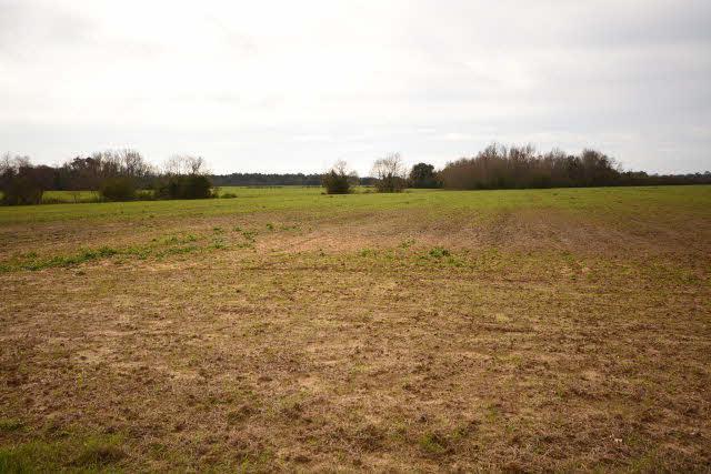 0 Horses-N-Hounds - Photo 1