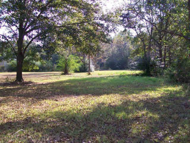 7530 Theodore Dawes Rd - Photo 1