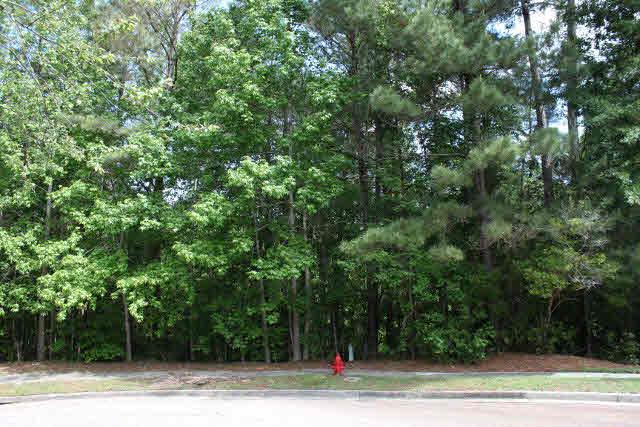 30708 Azalea Court - Photo 1
