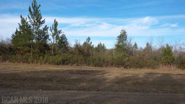 16582 Highway 182 - Photo 1