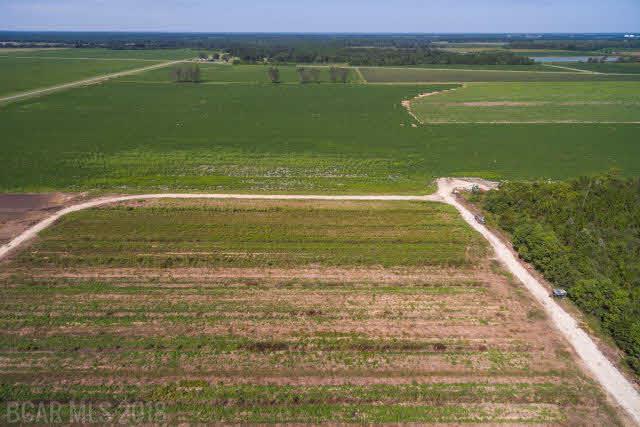 0 Lewis Rd - Photo 1