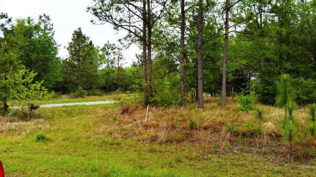 0 Dragoon Court - Photo 1
