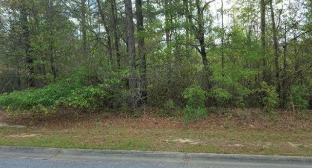 0 Juniper Creek Dr - Photo 1