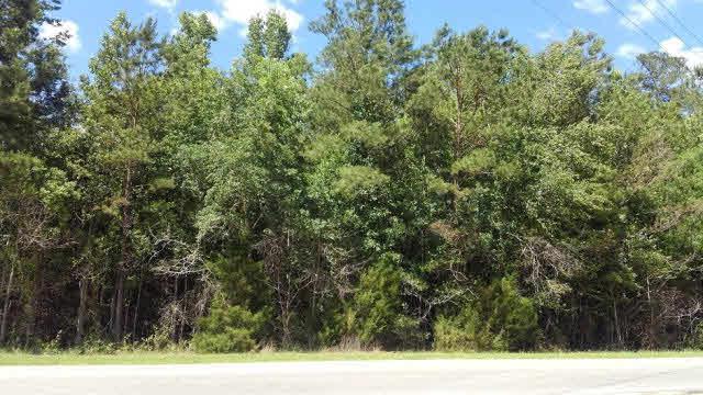 0 Us Highway 29 - Photo 1