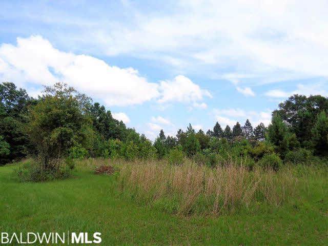 23595 County Road 47 - Photo 1