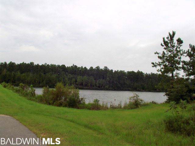 0 Lake Juniper Rd - Photo 1