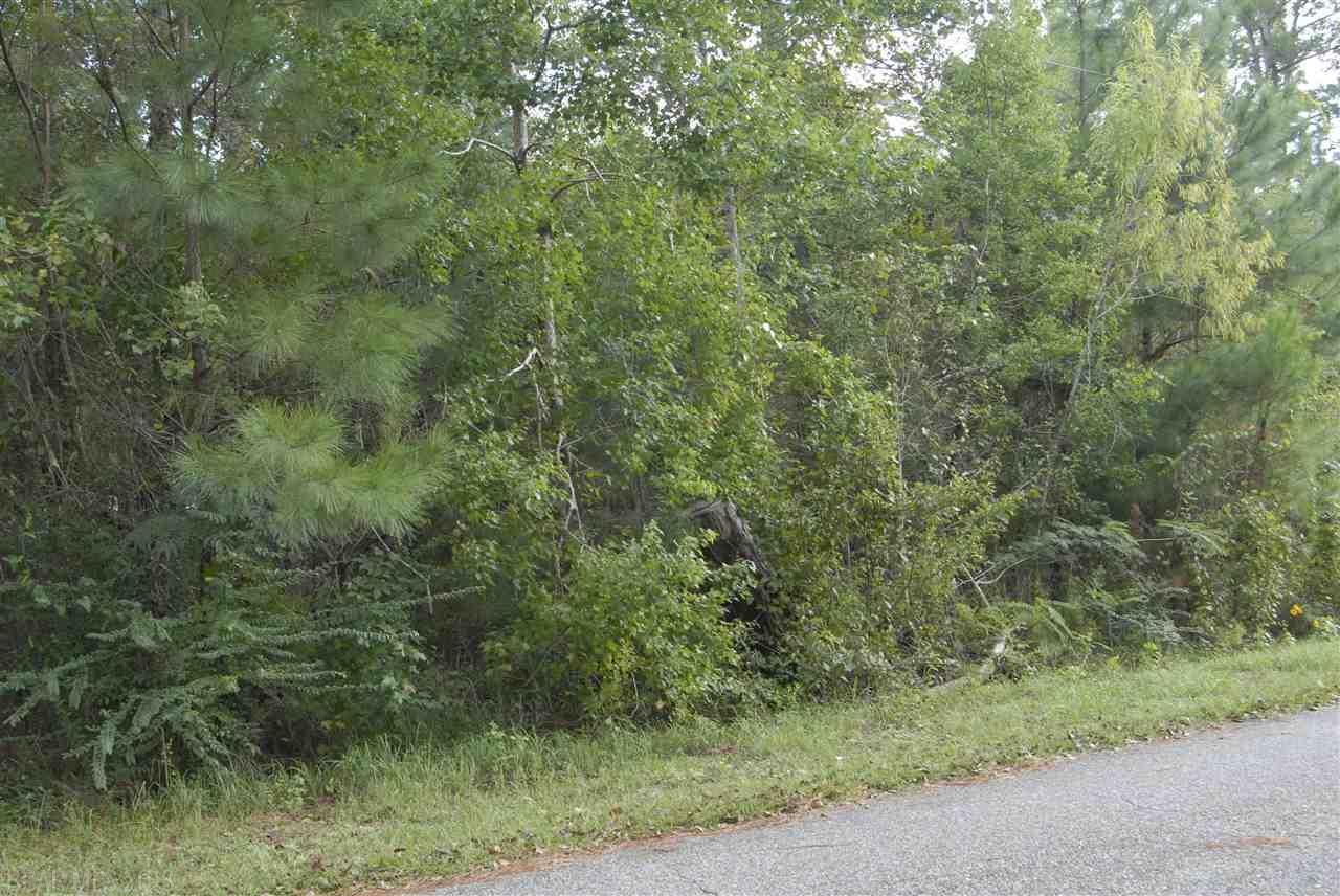0 Cook Road - Photo 1