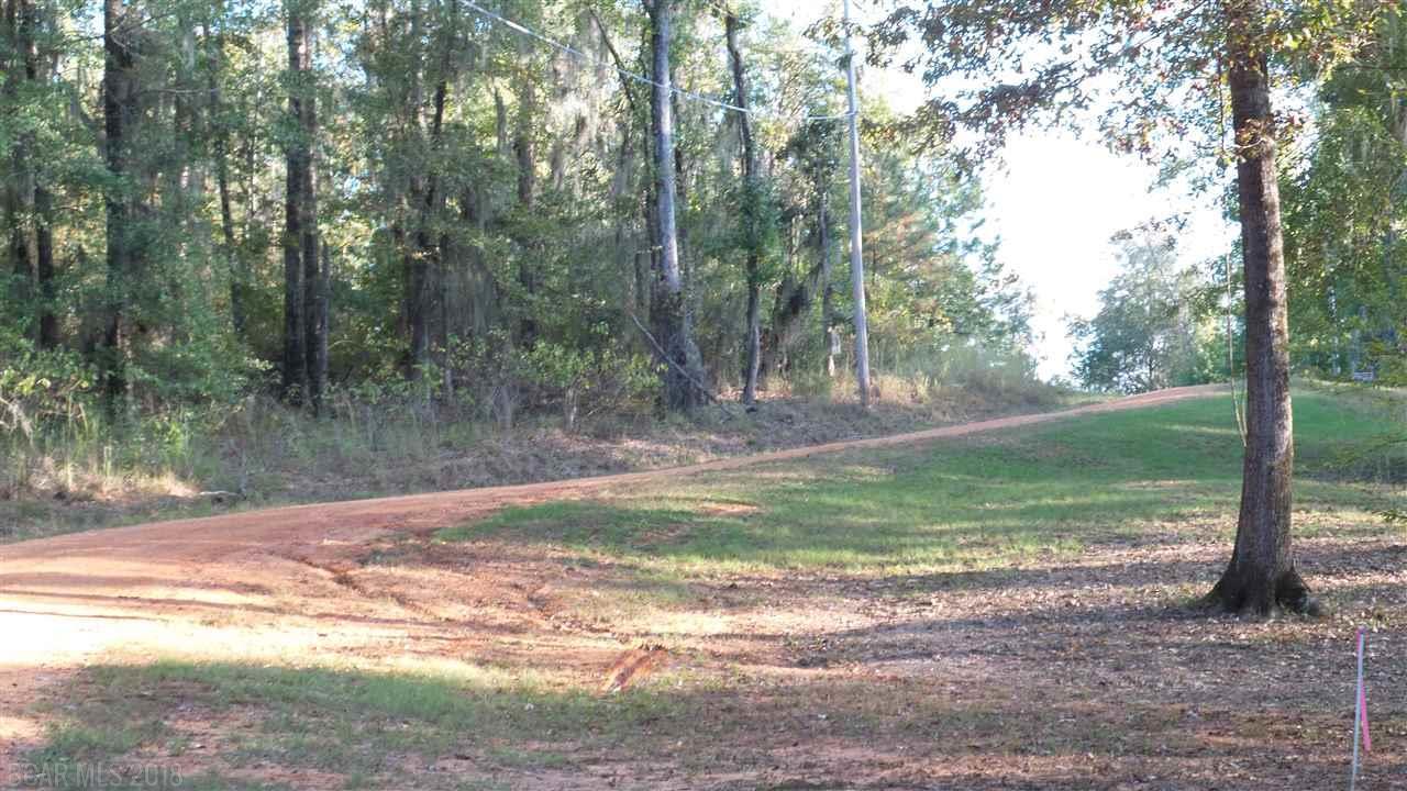 0 White Oak Creek Drive - Photo 1