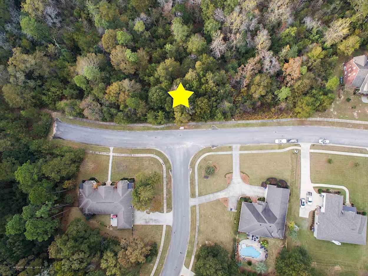 29924 D'olive Ridge - Photo 1