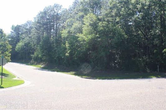 0 Stanton Road - Photo 1