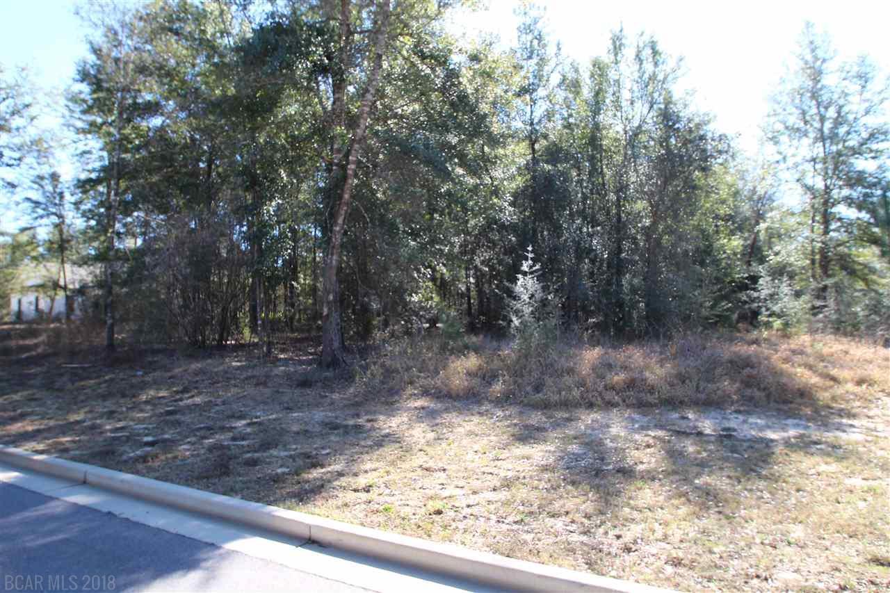 0 Arrowhead Ln - Photo 1