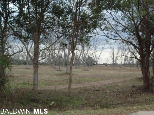0 County Road 62 - Photo 1