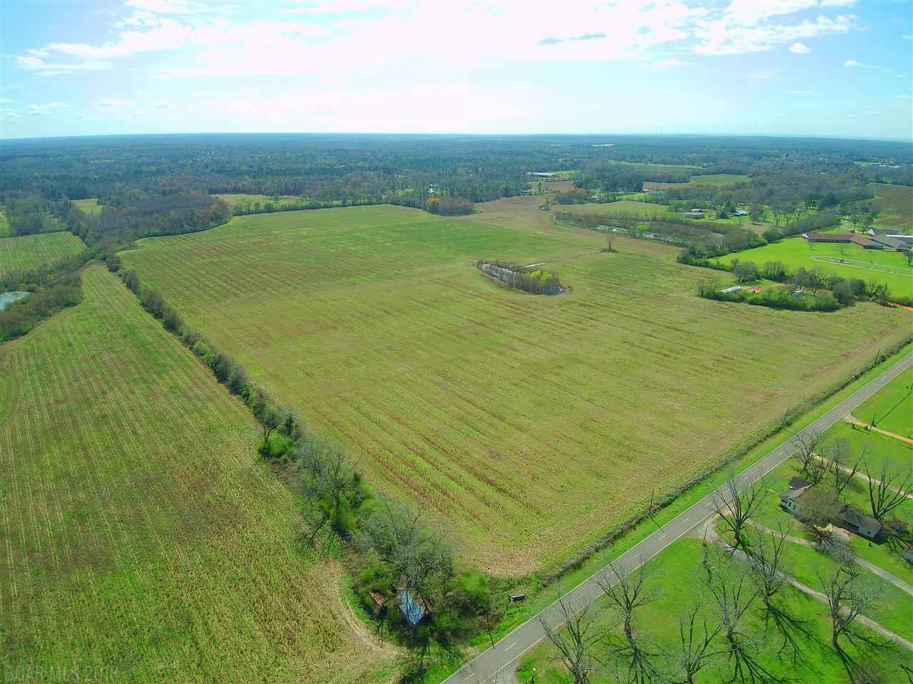 43800 Old Brady Rd - Photo 1