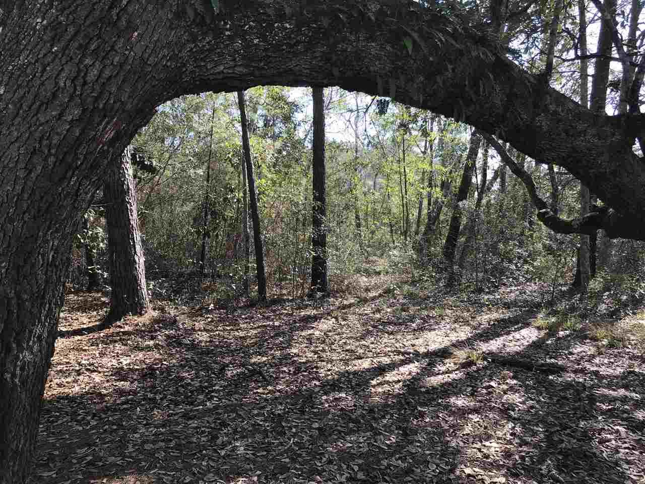 Bayou Circle - Photo 1