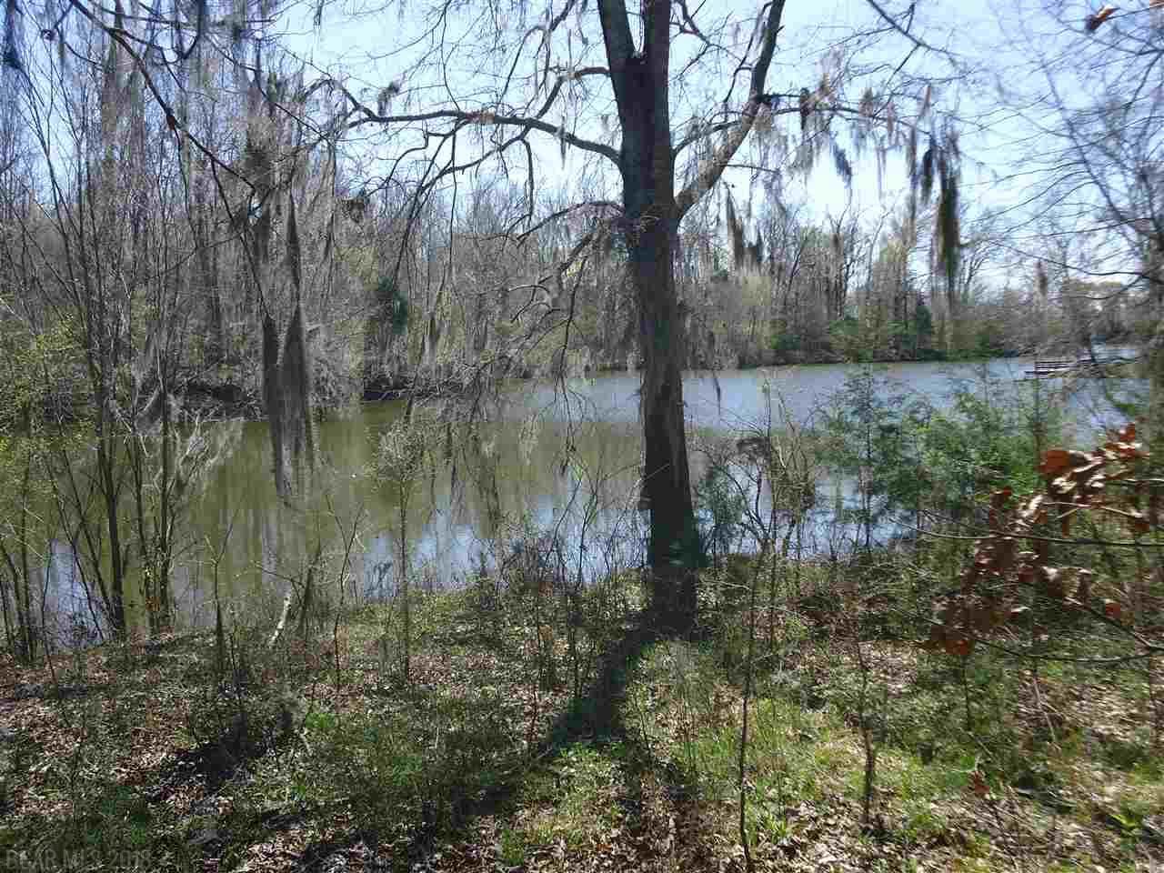 0 River Oaks Landing - Photo 1