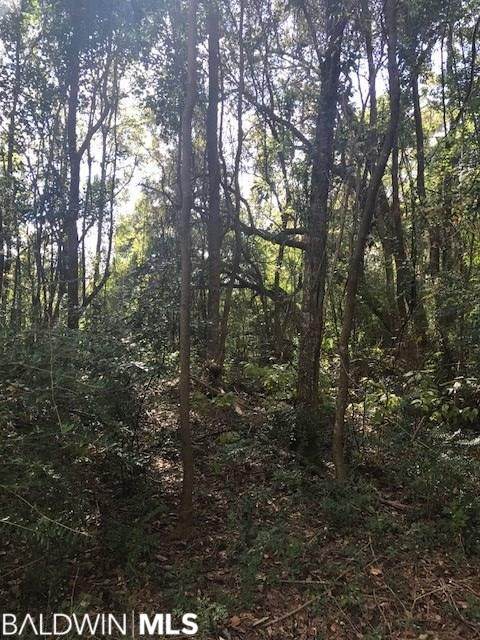 25568-A County Road 71 - Photo 1