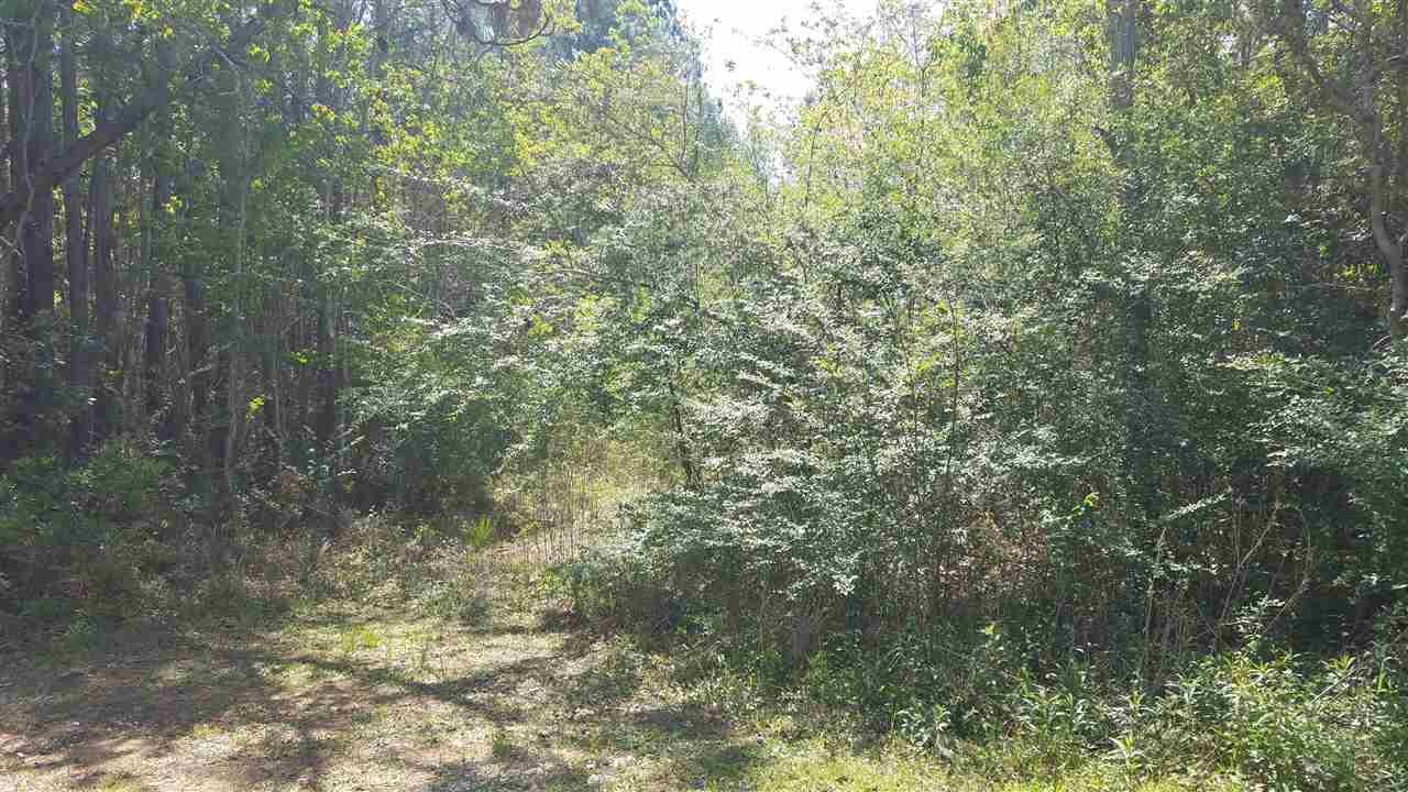 2322 Cotton Creek Dr - Photo 1
