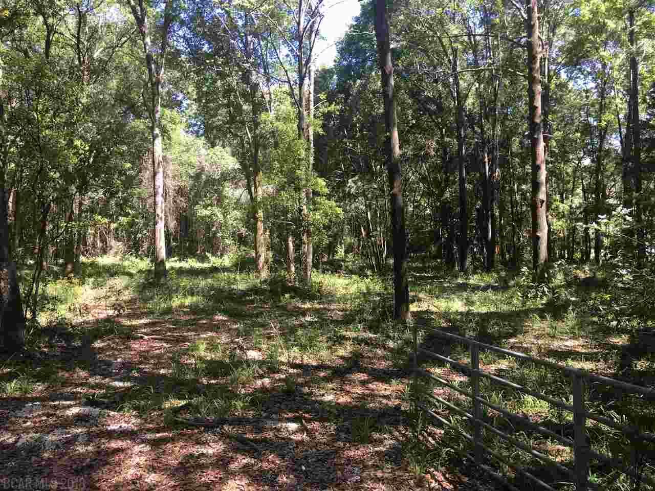 29180 Vlahos Ln - Photo 1