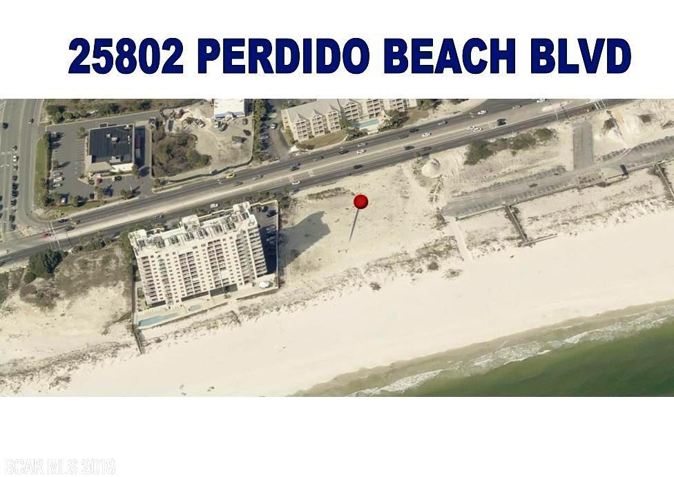25802 Perdido Beach Blvd - Photo 1