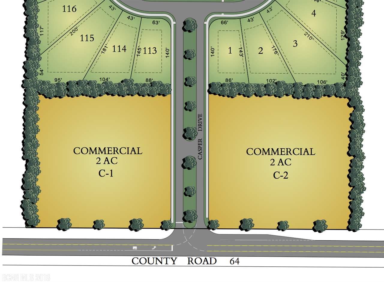 0 County Road 64 - Photo 1