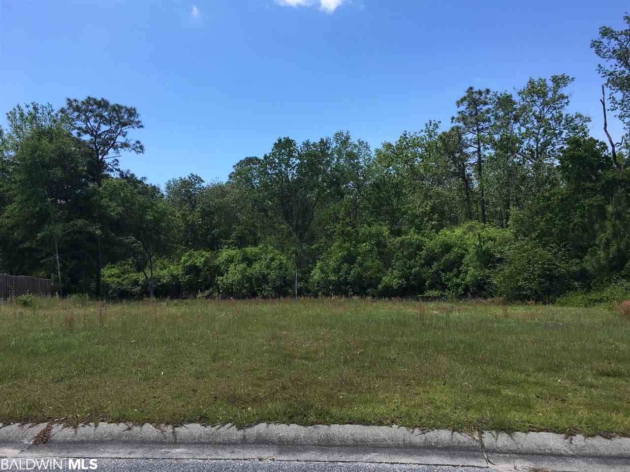 13243 Cathedral Lane - Photo 1