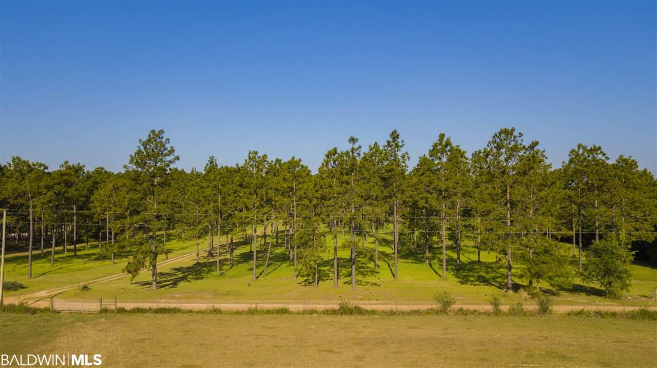 28685 Rose Run Rd - Photo 1