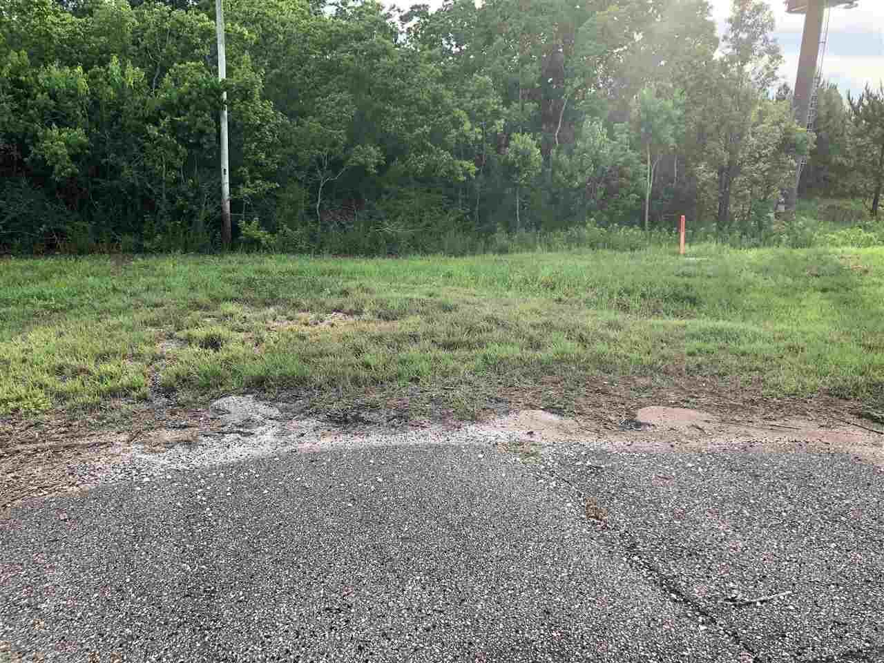 0 St Hwy 59 - Photo 1