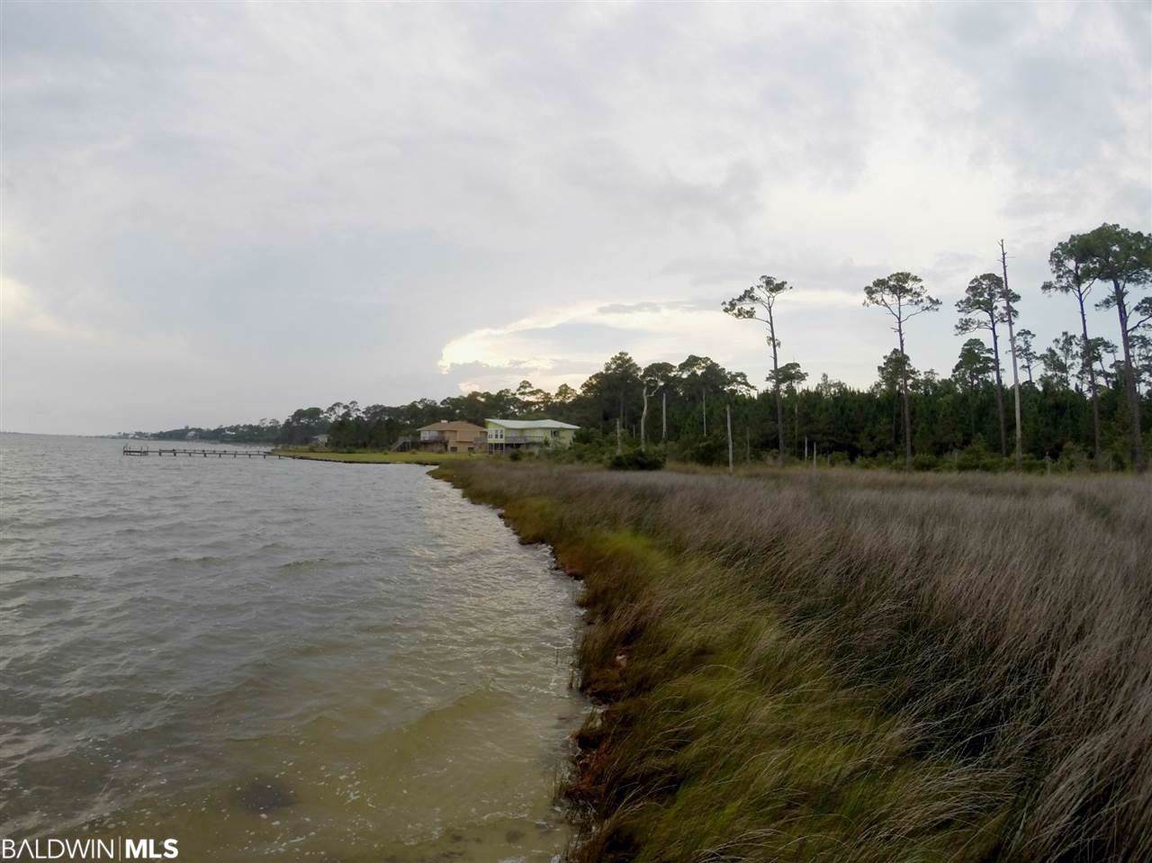 0 Fort Morgan Hwy - Photo 1