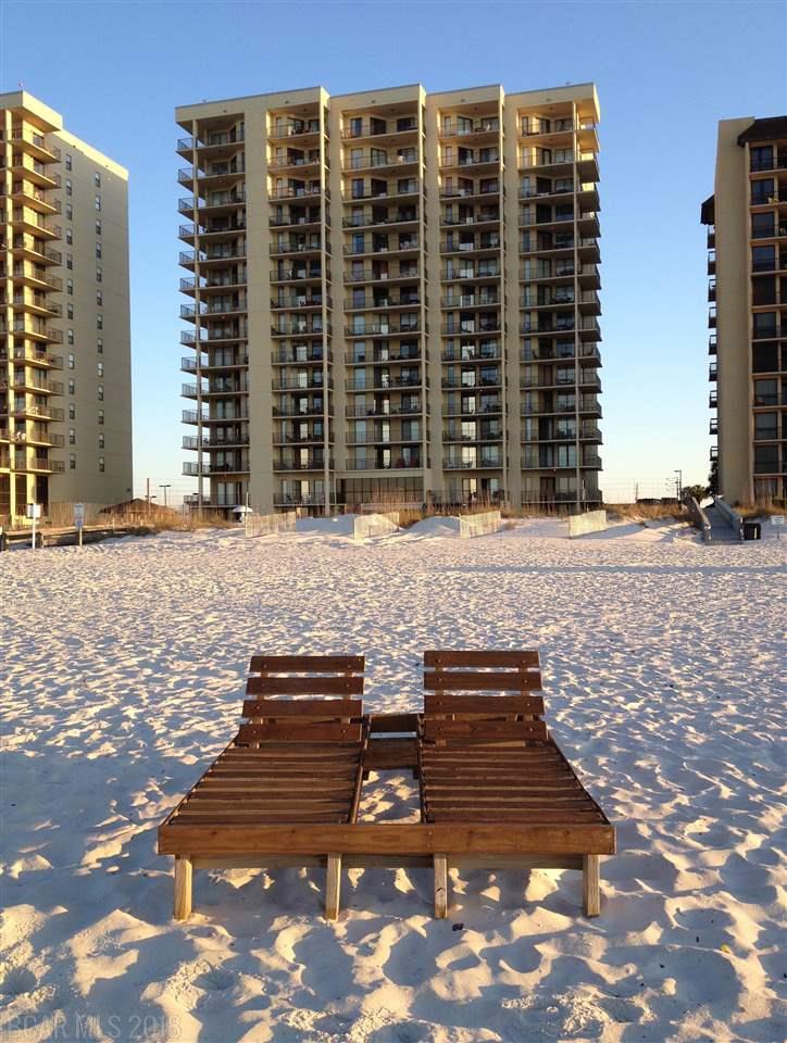 24250 Perdido Beach Blvd - Photo 1
