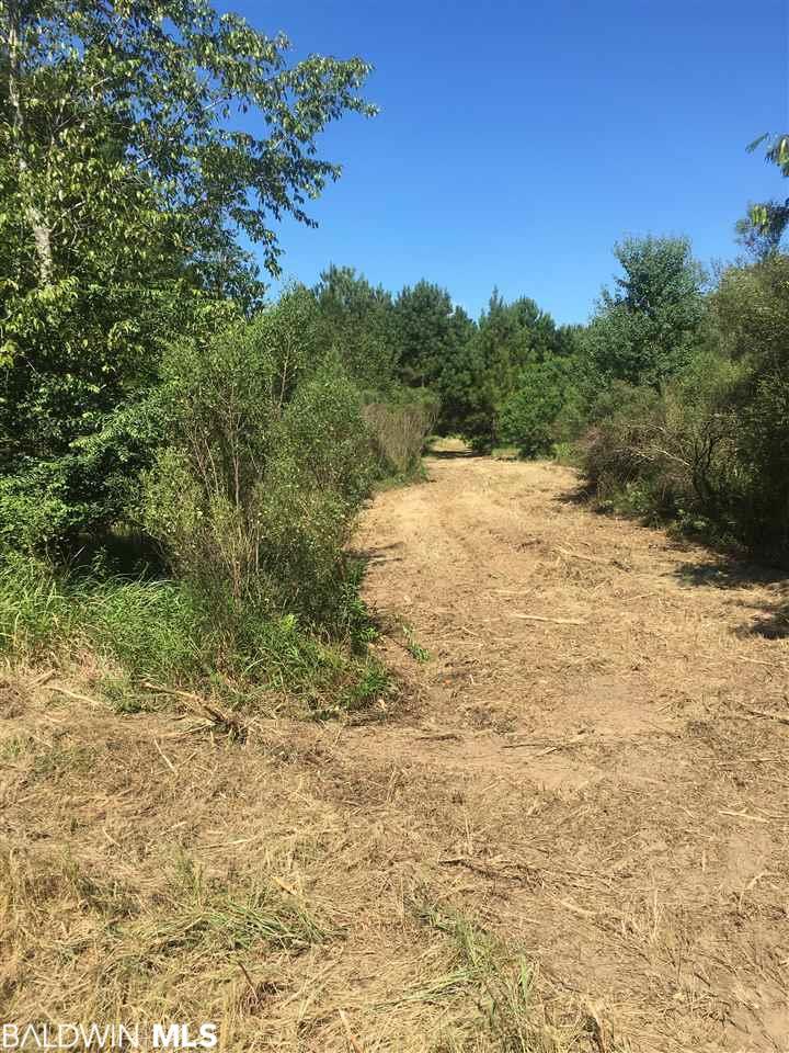 23463-1 Patterson Road - Photo 1