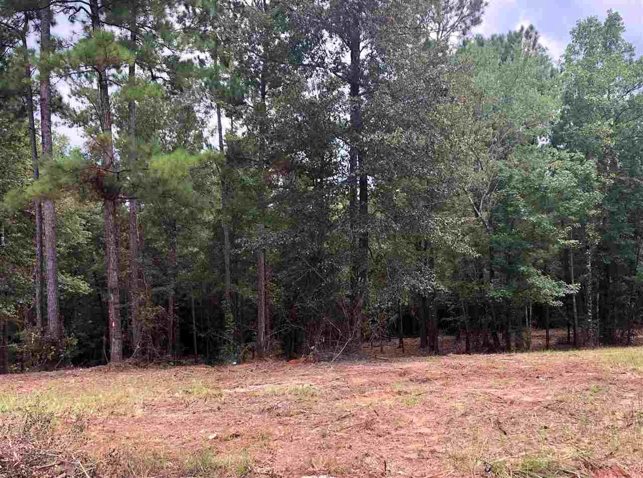 Lot 134 Cramblitt Lane - Photo 1
