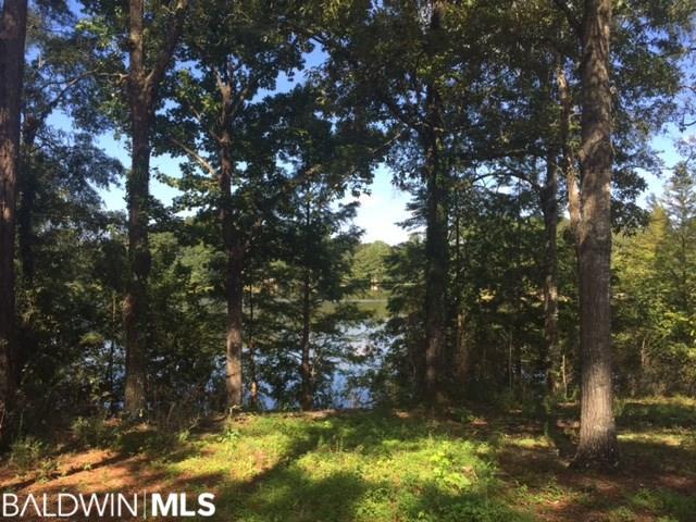 709 Lakeview Drive - Photo 1